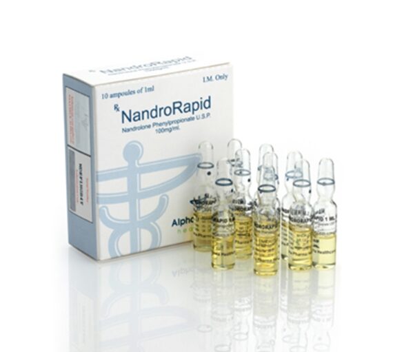 NANDRORAPID AMP
