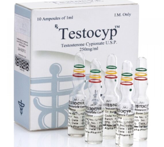 TESTOCYP AMP